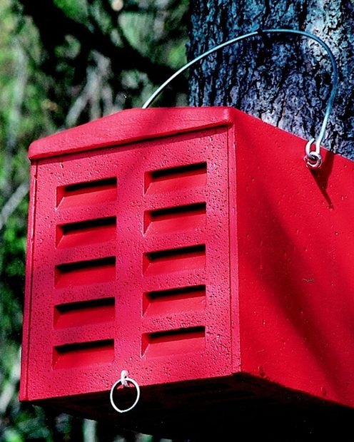 Schwegler Lacewing Box