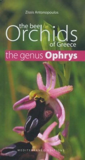 The Bee Orchids of Greece