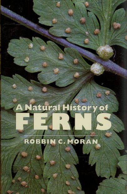 A Natural History of Ferns