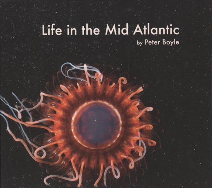 Life in the Mid Atlantic