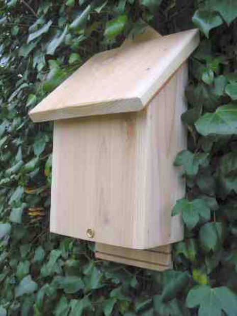 Chavenage Bat Box