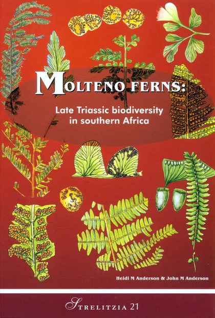 Molteno Ferns