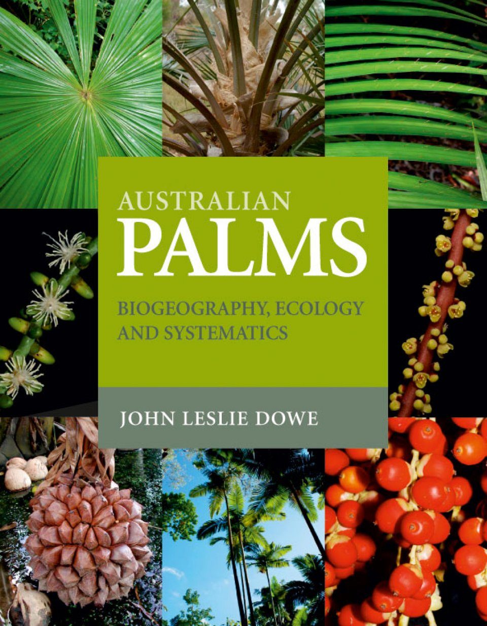 Дикие пальмы книга. Книга Пальма. Johannes Palm. Book of Palms. Australia books.