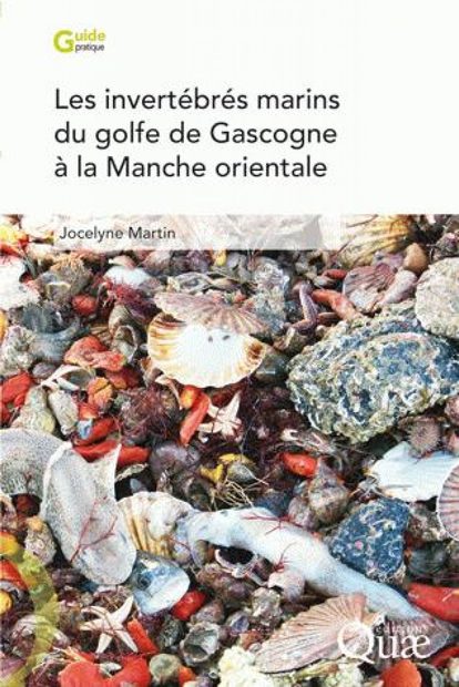 Les Invertébrés Marins du Golfe de Gascogne à la Manche Orientale: Guide d'Identification des Èspeces Recoltées dans les Chalut [Marine Invertebrates of the Bay of Biscay at the Eastern Channel: Identification Guide for Trawl-Harvested Species]