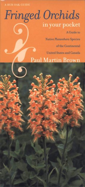 Fringed Orchids in Your Pocket