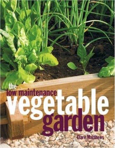 The Low Maintenance Vegetable Garden