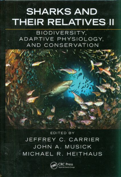 Sharks and their Relatives II