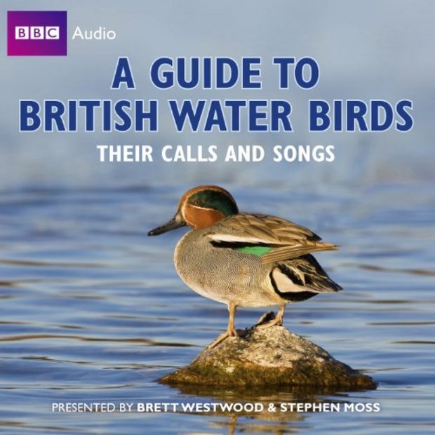 A Guide to British Water Birds