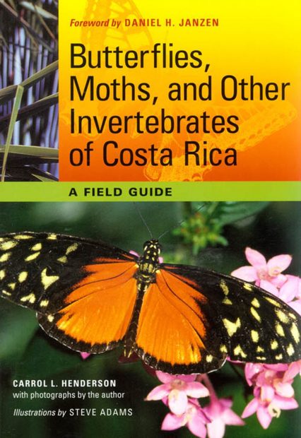 Butterflies, Moths, and Other Invertebrates of Costa Rica