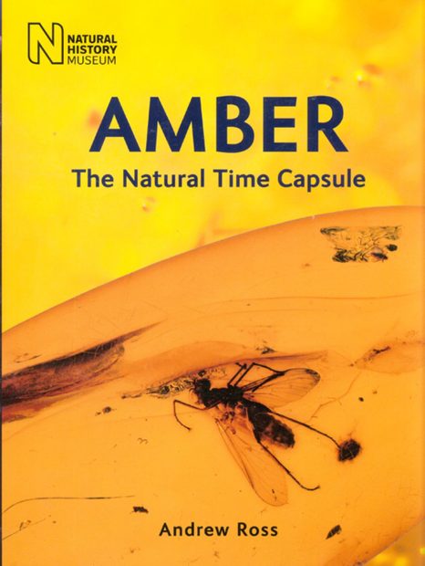 Amber