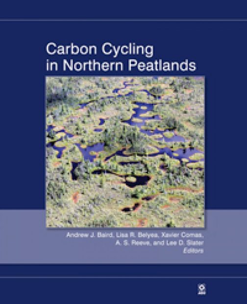 Carbon Cycling in Northern Peatlands