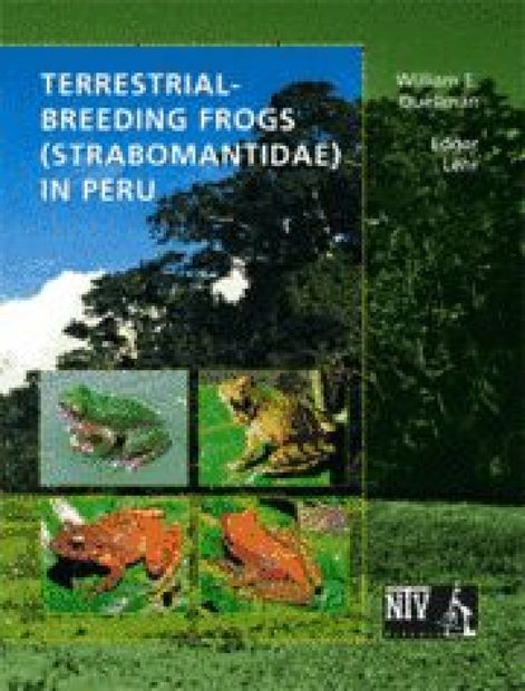 Terrestrial-Breeding Frogs (Strabomantidae) in Peru
