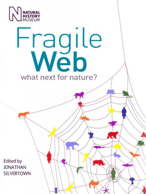 Fragile Web