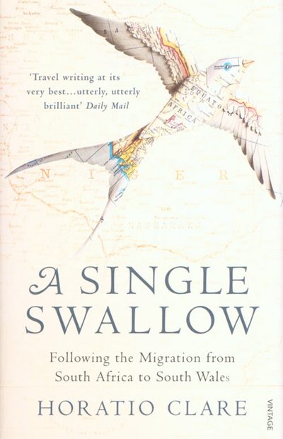 A Single Swallow