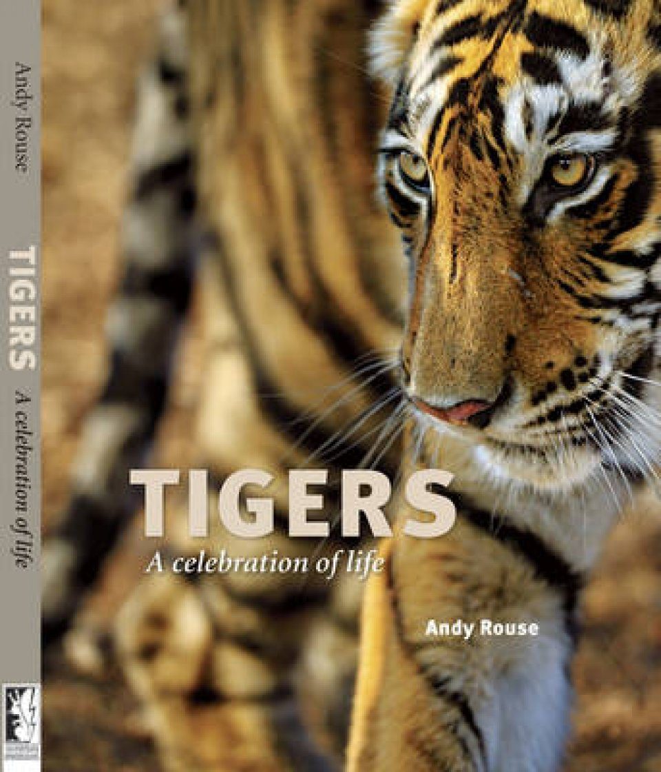 Тайгер книга. Book about Tigers.
