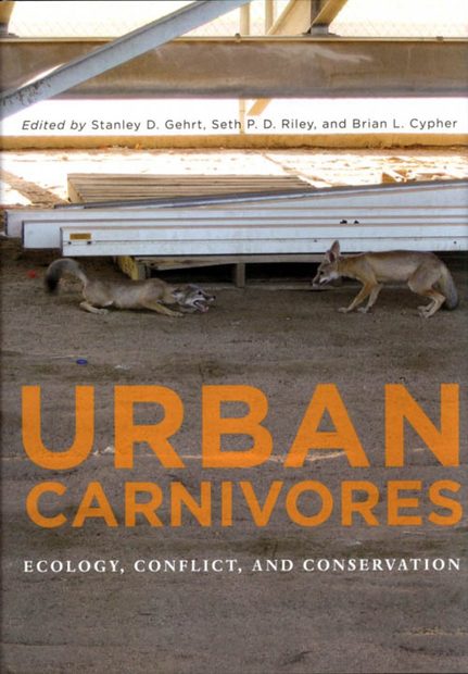 Urban Carnivores