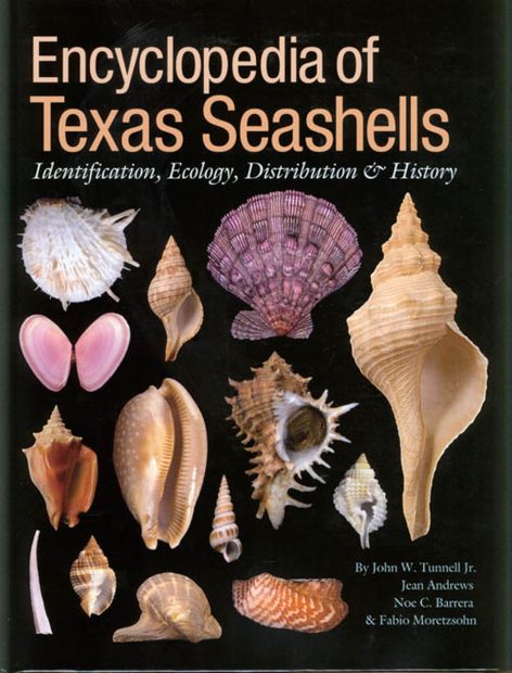 Encyclopedia of Texas Seashells