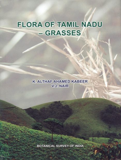 Flora of Tamil Nadu - Grasses | NHBS Academic & Professional Books