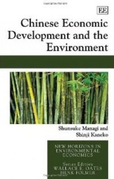 Chinese Economic Development and the Environment