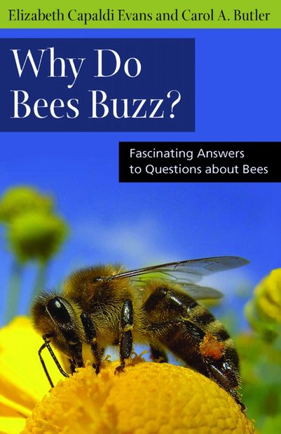 Why Do Bees Buzz?: Fascinating Answers to Questions About Bees | NHBS ...