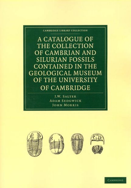 A Catalogue of the Collection of Cambrian and Silurian Fossils Contained in the Geological Museum of the University of Cambridge