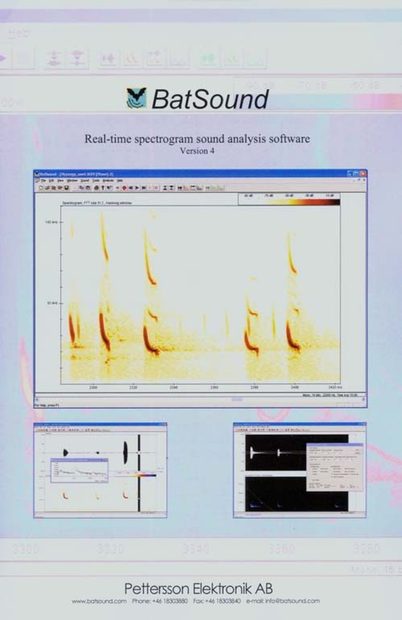 Pettersson's BatSound v4.x