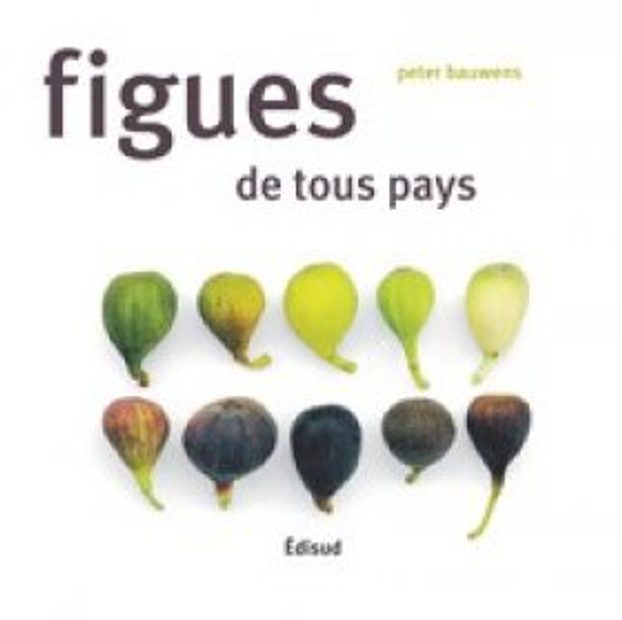 Figues de Tous Pays