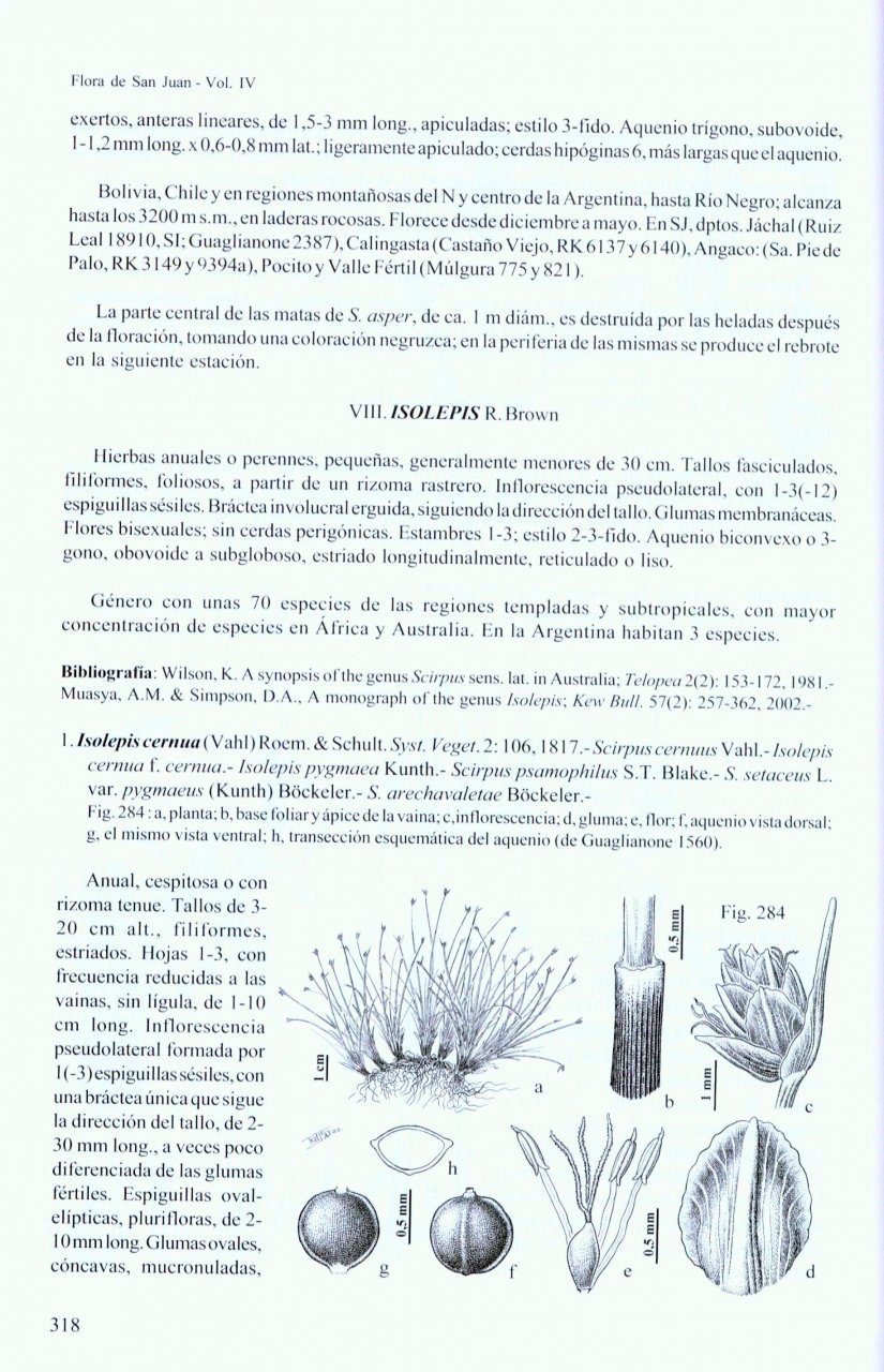 Flora De San Juan Republica Argentina Volumen Iv Monocotiledoneas Nhbs Academic Professional Books