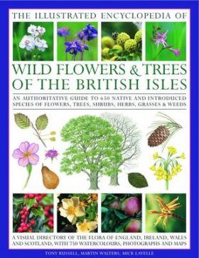 Illustrated Encyclopedia of Wild Flowers and Trees of the British Isles