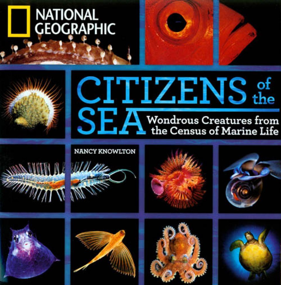 Citizens Of The Sea Wondrous Creatures From The Census Of