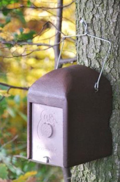 2KS Schwegler Common Dormouse Drey