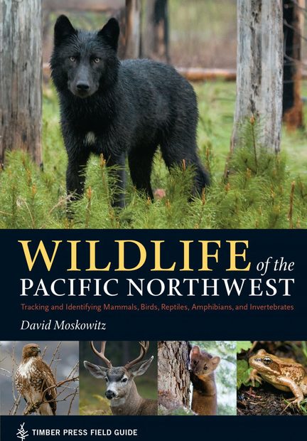 Wildlife of the Pacific Northwest