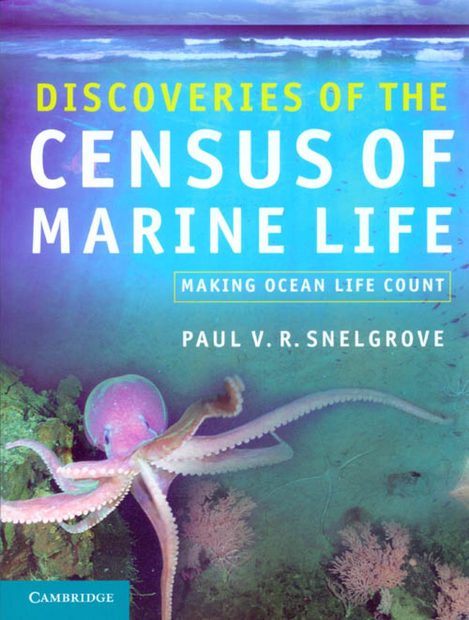 Discoveries of the Census of Marine Life