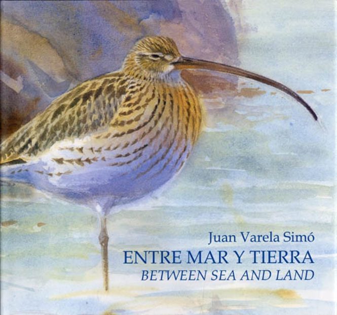 Between Sea and Land / Entre Mar y Tierra