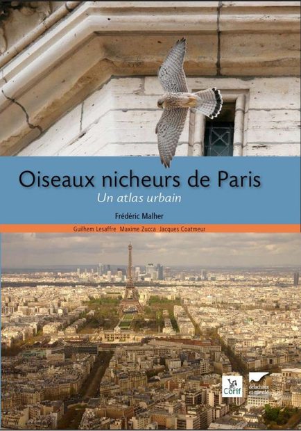 Oiseaux Nicheurs de Paris