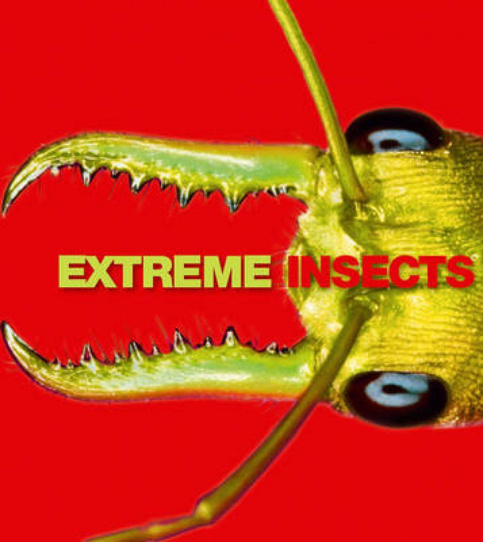 Extreme Insects Nhbs Academic Amp Professional Books