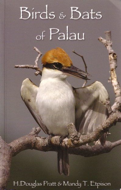Birds and Bats of Palau