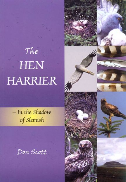 The Hen Harrier