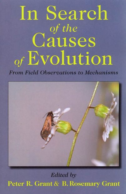 In Search of the Causes of Evolution