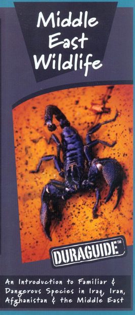 Middle East Wildlife