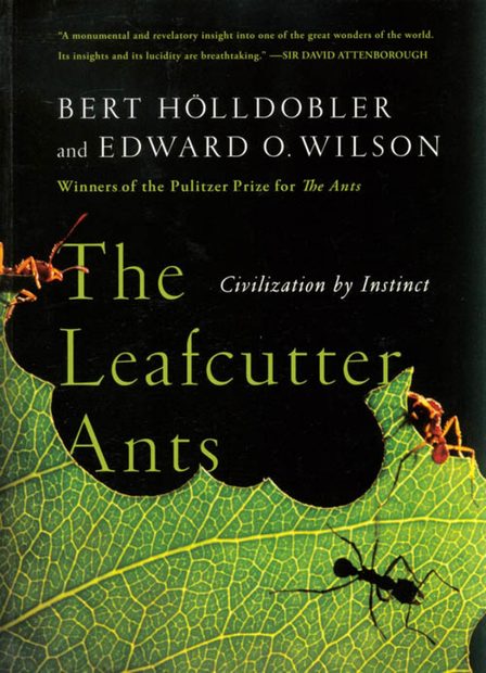 The Leafcutter Ants