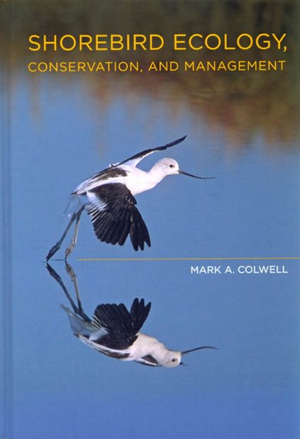 Shorebird Ecology, Conservation, and Management