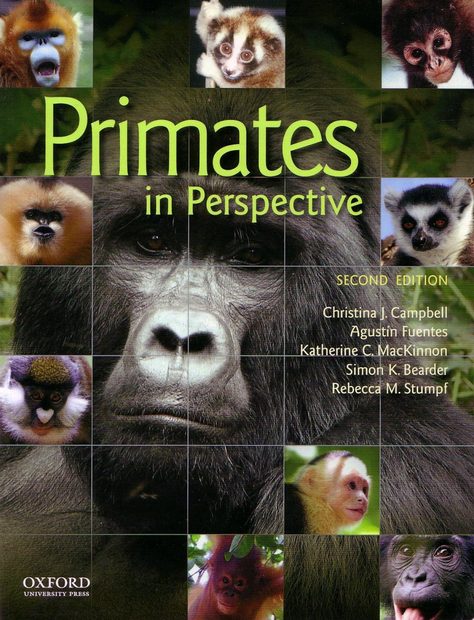 Primates in Perspective