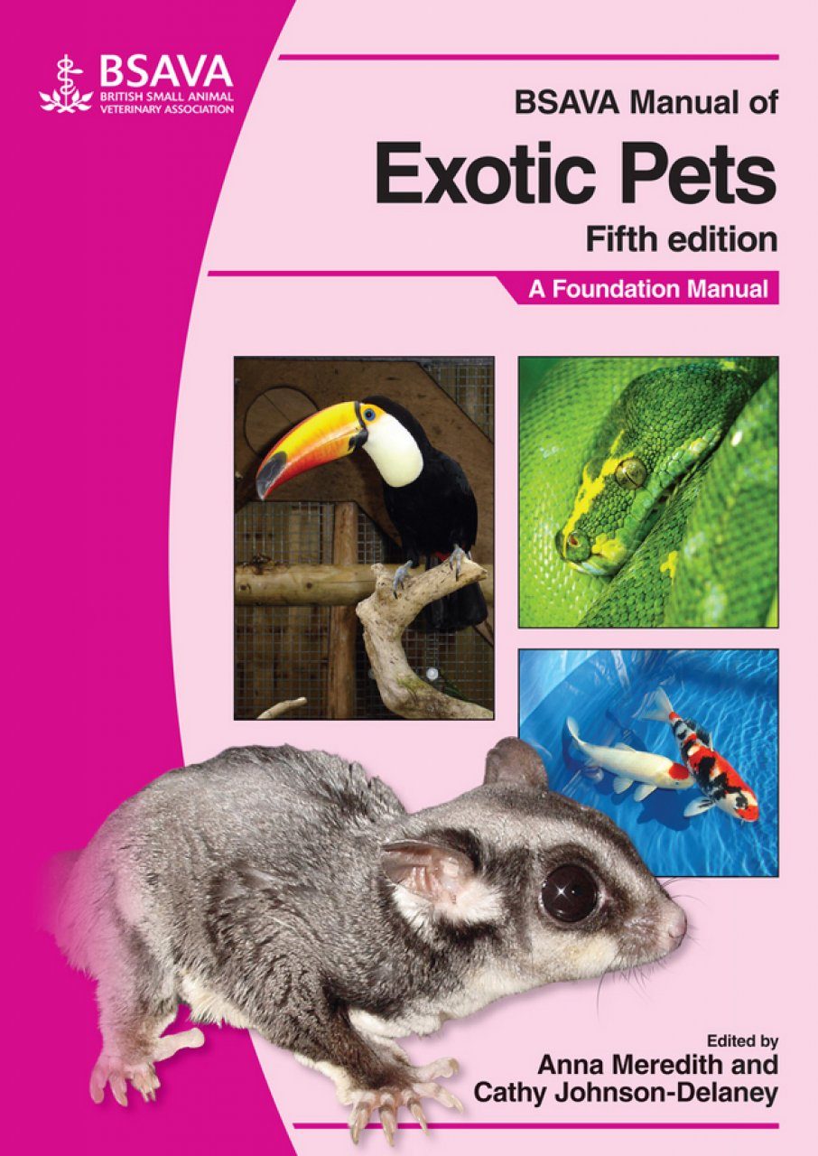 Pet 5 book. Exotic Pets на английском. BSAVA manual of Reptiles. BSAVA manual OFEXOTIC mammals. Book exotic Pet.