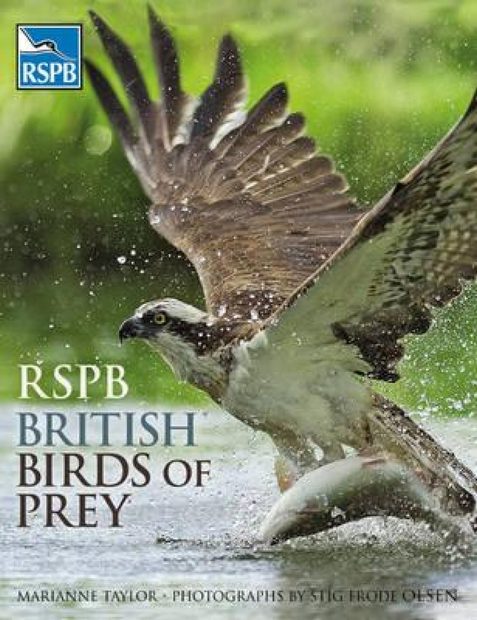 RSPB British Birds of Prey