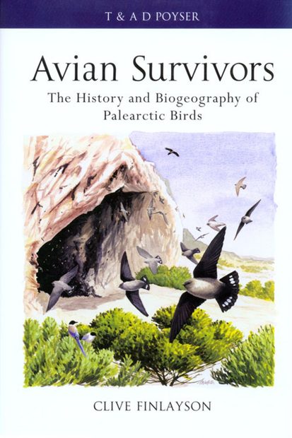 Avian Survivors