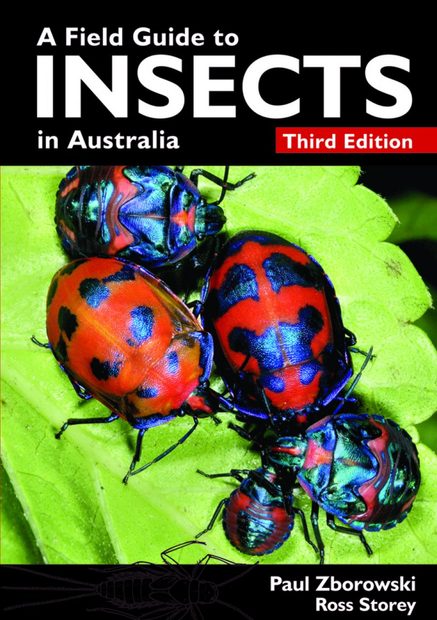 A Field Guide to Insects in Australia
