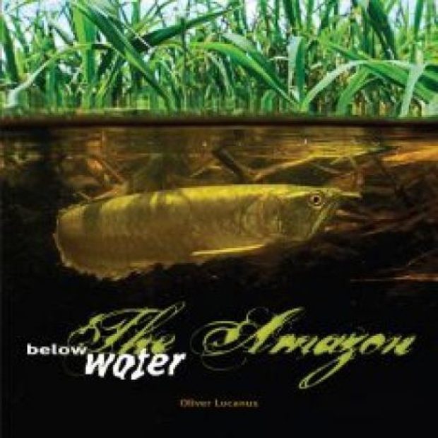 The Amazon Below Water