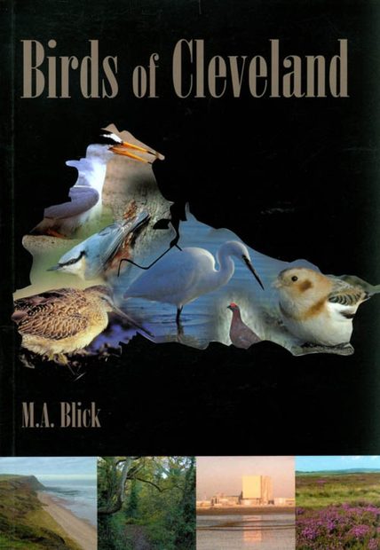 Birds of Cleveland