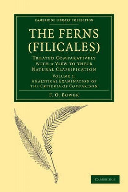 The Ferns (Filicales), Volume 1: Analytical Examination of the Criteria of Comparison